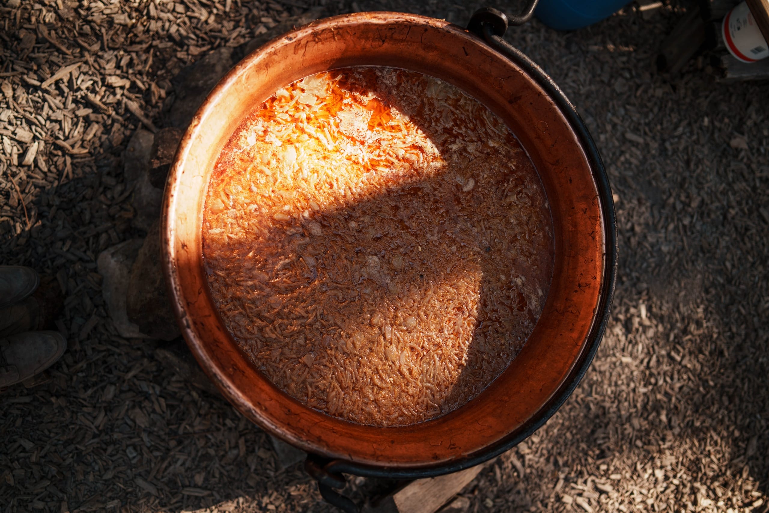 Gallery cover image