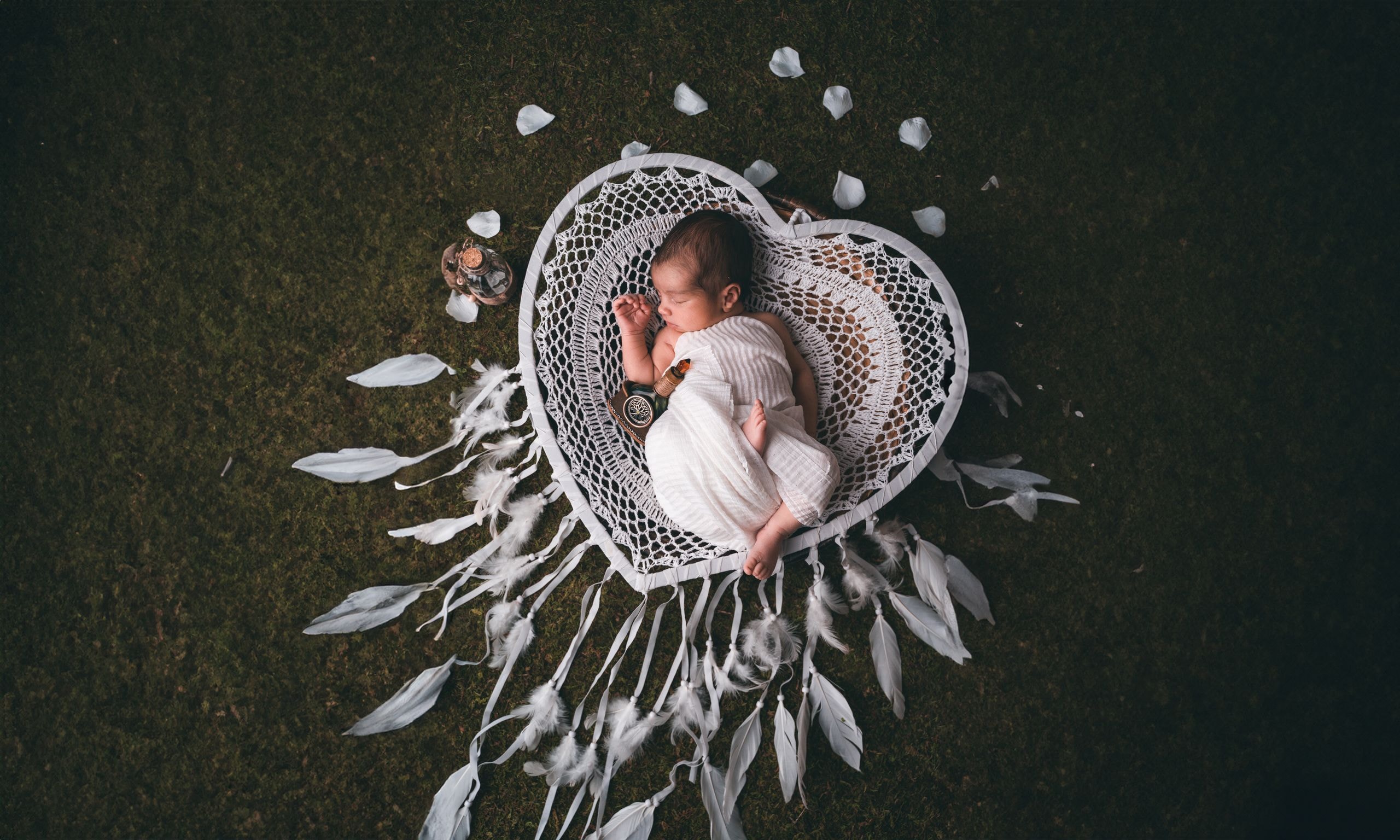Gallery cover image